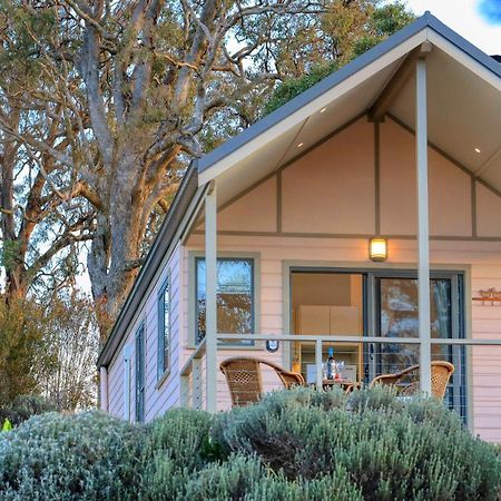 Grace Cottages Uralla Eksteriør billede