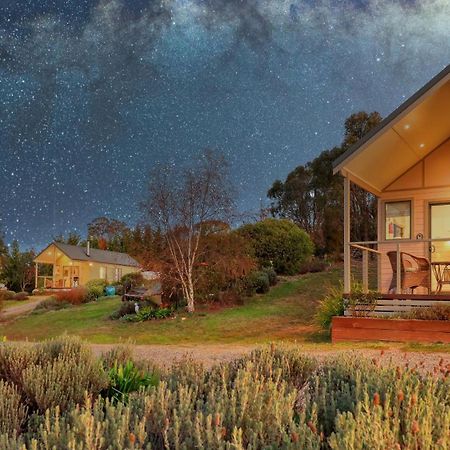 Grace Cottages Uralla Eksteriør billede