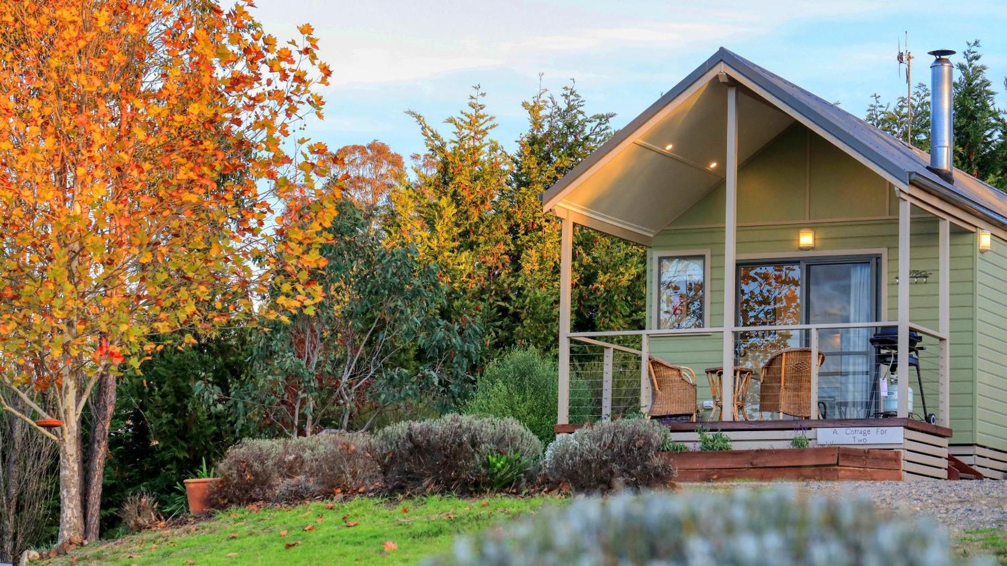 Grace Cottages Uralla Eksteriør billede